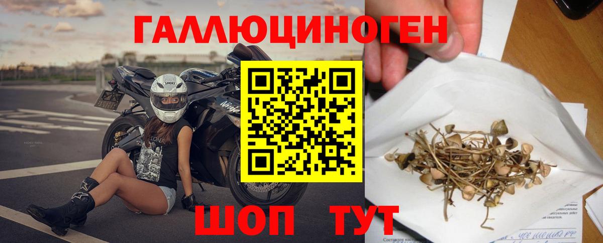 Псилоцибиновые грибы Cubensis  Галлюциногенные грибы Cubensis  Учалы  Вход с VPN 